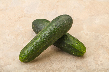 Ripe organic natural green cucumber
