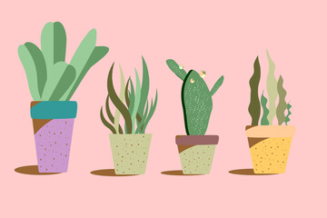 Cactus in pots, houseplants decorated isolated on pink background. Vector