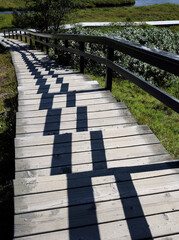 The midday sun creating an interesting pattern on a pathway through Thingvellir, Iceland