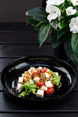 Paneer Vegetable Salad Recipe is a Low Carb Diet Food From India Made With Cottage Cheese Cubes With Green Veggies