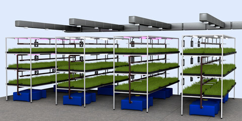 Automated modern vertical farm with hydroponics system. Growing organic plants and vegetables. 3d illustration
