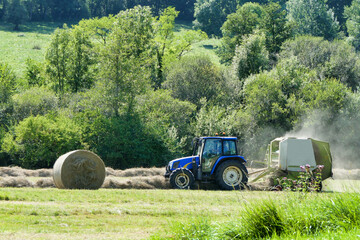 Naklejka premium Tractor pulling a baler over lines of dry cut hay to make hay bales for animal fodder 