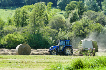 Tractor pulling a baler over lines of dry cut hay to make hay bales for animal fodder
