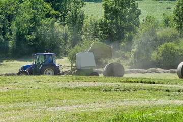 Baler opening to release a large round compacted hay bale
