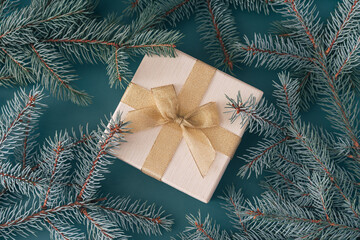Fototapeta na wymiar Box with gold ribbon among the branches of Christmas tree on cyan background