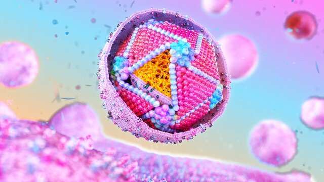 Iridovirus cross-section, illustration