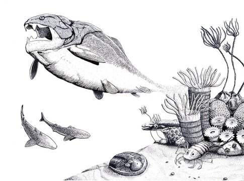 Devonian fauna, illustration