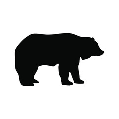 Obraz na płótnie Canvas Bear icon vector. animal illustration sign. wild life symbol. hunting logo. 