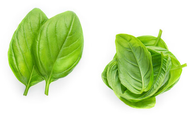 Fresh green basil leaves isolated on white background, top view. Basil herb  .