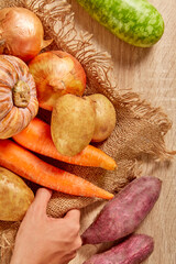 The cook's hand is choosing ingredients to prepare. Potato, red pumpkin, purple sweet potato, carrot on brighten wooden background. Top view. Clean and Fresh Food. Healthy vegetables. 