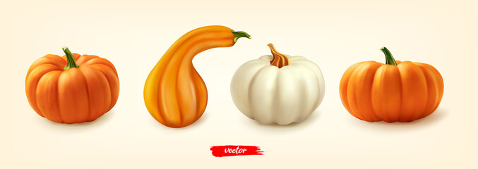 Pumpkin set, great design for any purposes. Different pumpkins isolated. 3d realistic vector illustration of pumpkin collection.