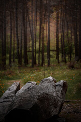 Theme park, the hand