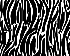 zebra skin pattern texture.Vector eps10