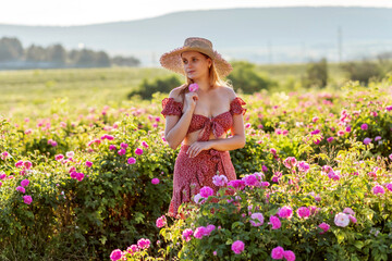 Girl in walks in a rose plantation