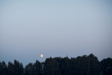 Moon in the late evening sky over the forest.