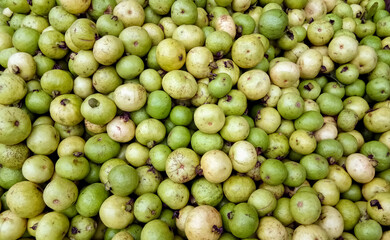 Bunch of small guava on the street market