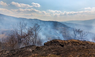 Smoke from wild forest fires in a rural area in Europe