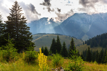 Beautiful autumn scenery in remote rural area in Eastern Europe