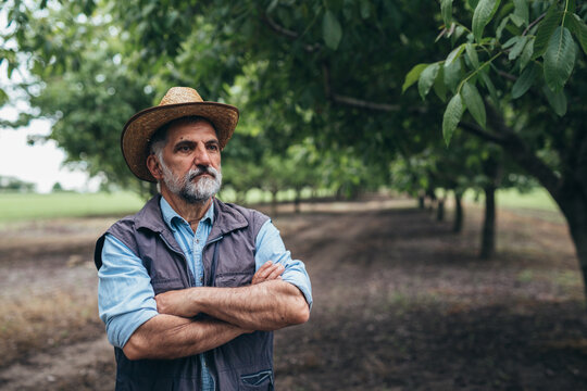 farmer posing outdoor. senior bearded man with cowboy hat posing