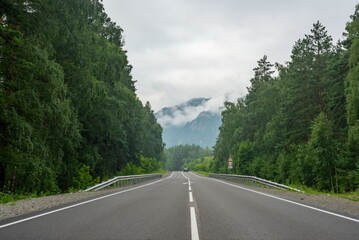 Asphalt highway among the spruce forest leading to the mountains in the Altai Mountains