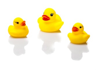 Rubber Ducks Family