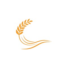 Wheat illustration design