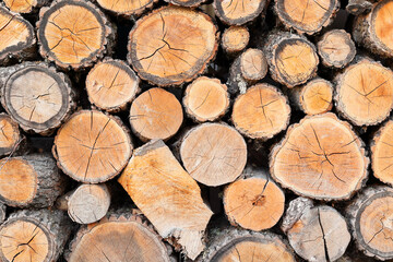 Stacked round firewood. Background with wood texture.