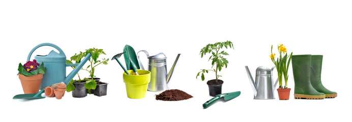 collage of gardening equipment and plants isolated on white back