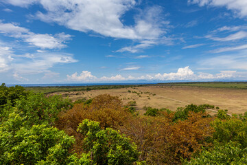 Fototapeta na wymiar landscape of the dried savannah