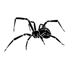 Spider black, cartoon isolated on white background, vector illustration for design and decor, Halloween, sticker, template