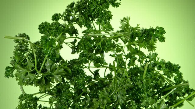 Super slow motion of fresh parsley flying in the air. Filmed on high speed cinema camera, 1000 fps.