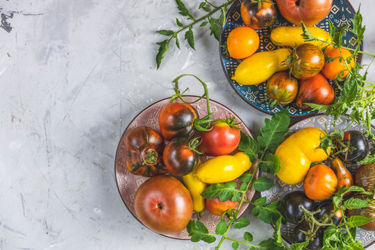 Colorful raw tomatoes in ceramic plates on light gray concrete surface.