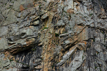 Large stone texture with corrosion