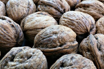 close up of walnuts
