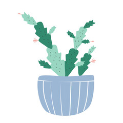 Homemade green Schlumbergera cactus with pink flowers in a blue pot in a doodle style, isolated on a white background
