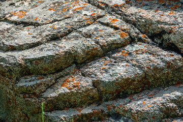 Stone texture with red moss