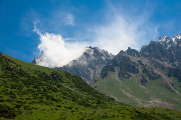 Summer landscape in the mountains