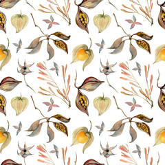Seamless watercolor autumn pattern with physalis on a white background