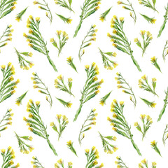 Fototapeta na wymiar Botanical seamless pattern with wild herbs on a white background