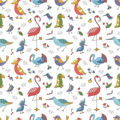Vector seamless pattern of funny flat birds on a white background