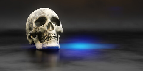 Fototapeta premium human skull on a black background