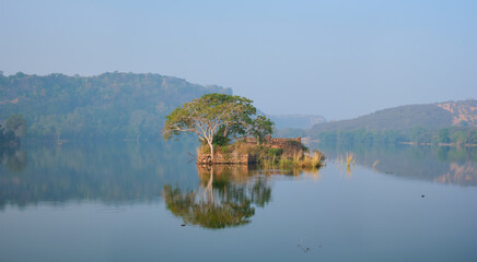 Serene morning on lake Padma Talao in. Ranthambore National Park, Rajasthan, India