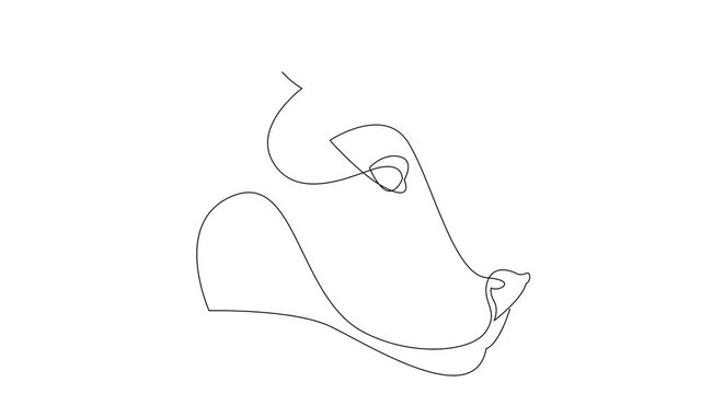 Self drawing simple animation of single continuous one line drawing jaguar, panther, lioness. Drawing by hand, black lines on a white background.