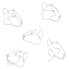Jaguar head continuous one line drawing set. Single line wild cat collection. Vector illustration.