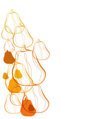 pumpkin juicy fruit vector line bright colorful card background