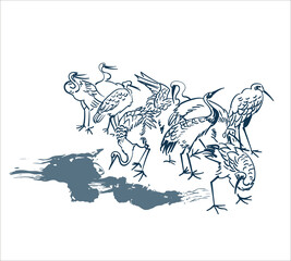 dance crane bird sketch vector japanese design