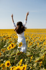 Naklejka na ściany i meble Young woman jumping happily in sunflower field