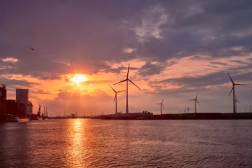 Photo sur Plexiglas Anvers Éoliennes dans le port d& 39 Anvers au coucher du soleil.