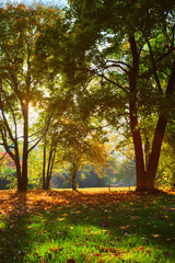 Naklejka premium Golden autumn fall October in famous Munich relax place - Englishgarten. Munchen, Bavaria, Germany