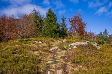 Obraz premium View of hills of Water Dividing ridge